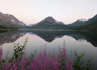 Pourquoi j’adore aller à Tromso en été – activités et itinéraire Soleil de minuit Norvège Tromso Nakkevatnet