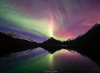 The essential tips for being a good northern lights hunter See the northern lights in Norway Tromso lake