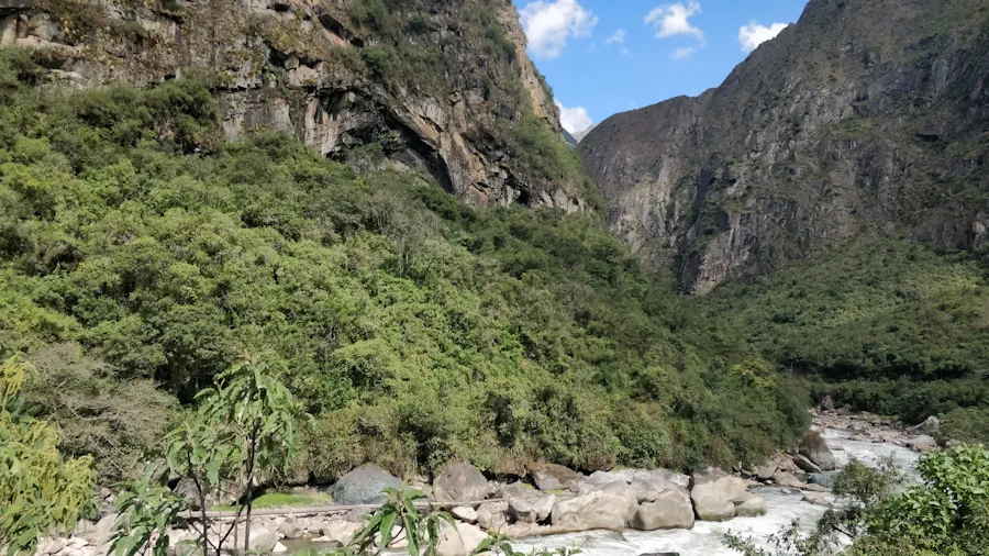 paysages train machu picchu