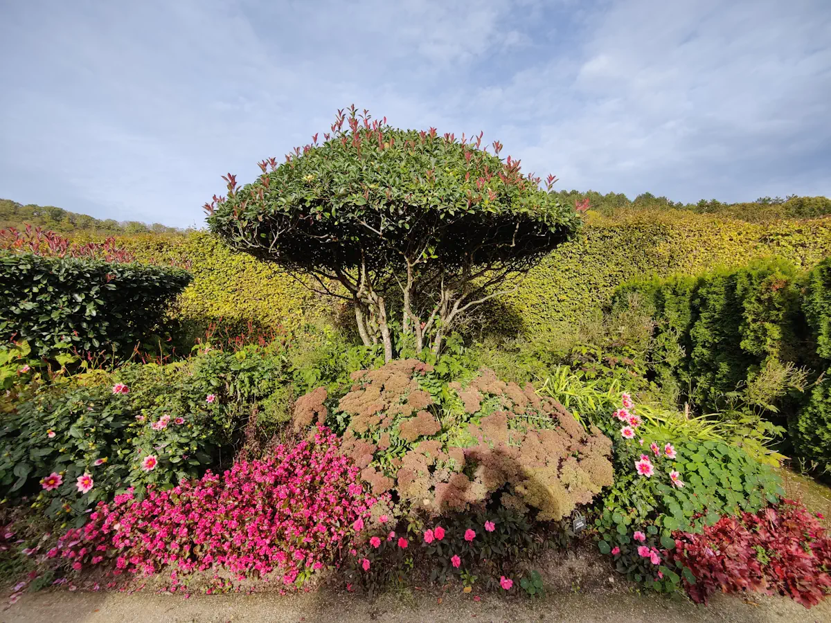 garden museum impressionnismes giverny