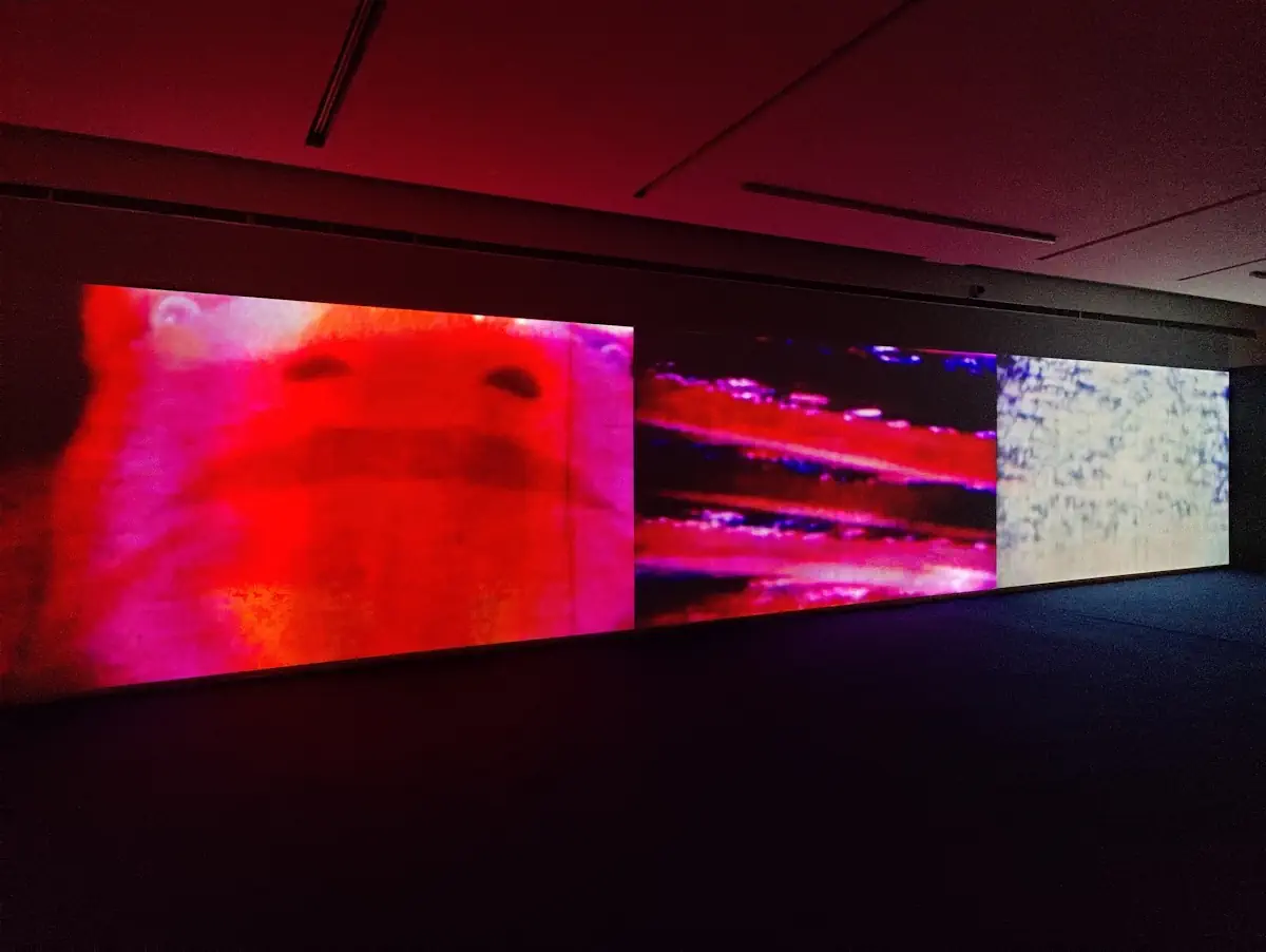 Museum impressionnismes Giverny