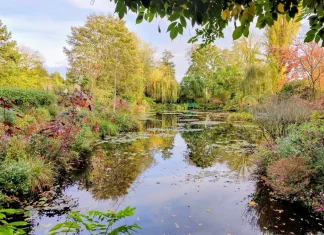 Descubra Giverny y sus jardines: qué hacer, itinerario, ¡la guía completa! Visiter Giverny lago claude monet