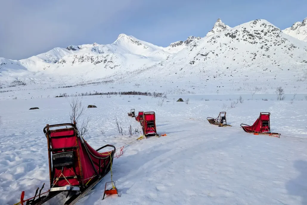 Faire du chien de traineau Tromso