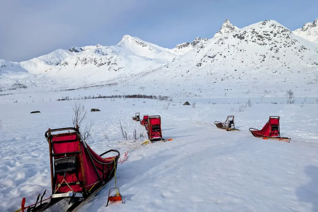 Faire du chien de traineau Tromso