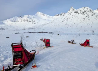 Quels sont les guides francophones pour faire les activités à Tromso ? Faire du chien de traineau Tromso