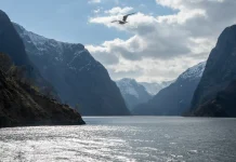 Découvrez le village de Flåm et les activités à faire (Train, croisière sur le Naeroyfjord, Kayak…) Croisière fjord Naeroyfjord Flam Gudvangen