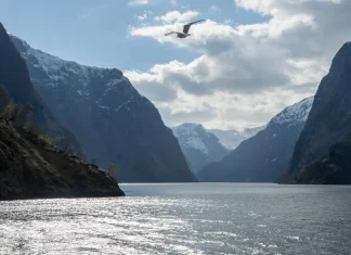 Discover the village of Flåm and its activities (train, cruise on the Naeroyfjord, kayaking…) Most beautiful cruises fjords Norway Naeroyfjord