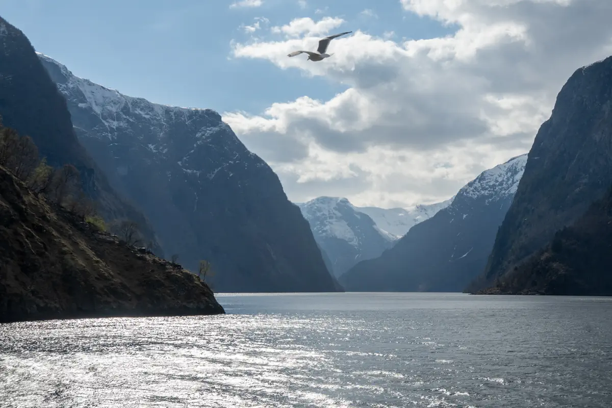 Croisière fjord Naeroyfjord Flam Gudvangen