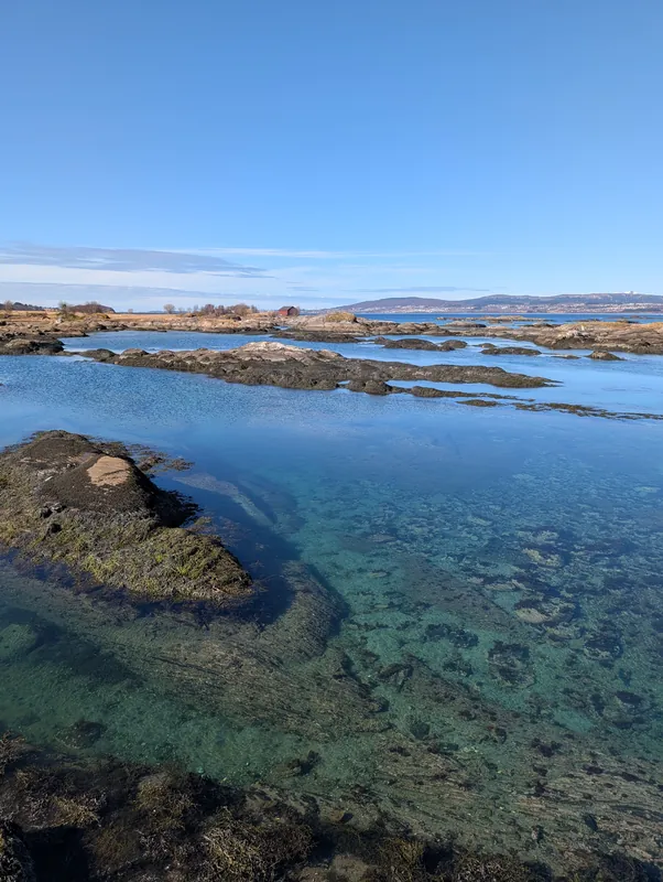 Eau cristalline aux reflets verts dans les rochers de la plage de Mjellestranda près de Bodø — paysage de carte postale au cercle polaire.