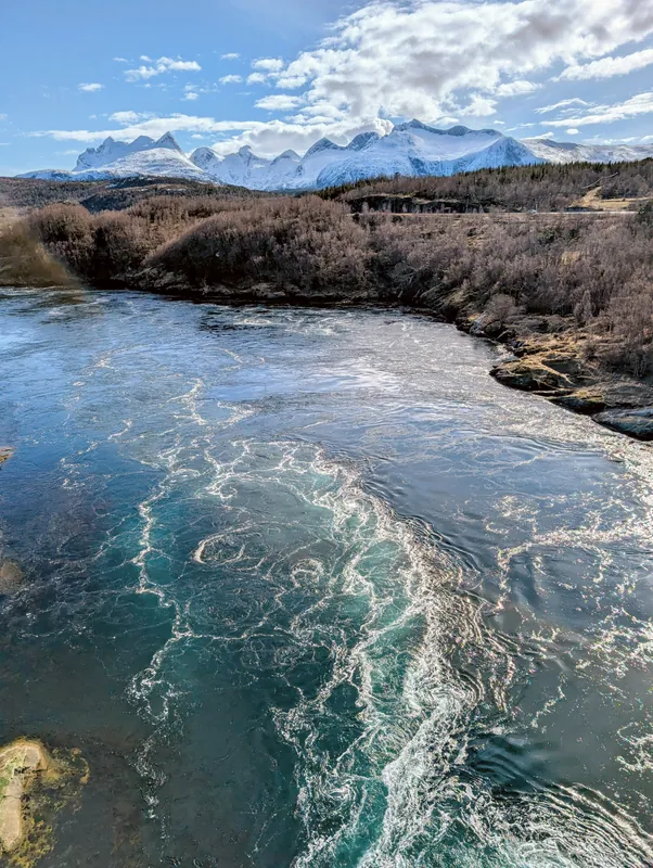 Vue depuis le pont du Saltstraumen sur les tourbillons turquoise et les sommets enneigés — le clou du spectacle d'une escale à Bodø.