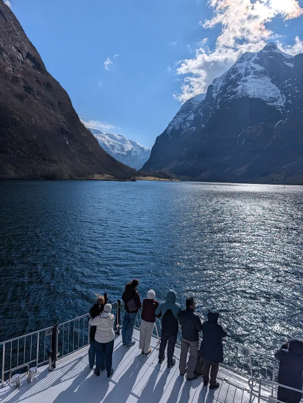 Passagers profitant d'une vue panoramique depuis le pont arrière du catamaran sur le Naeroyfjord, Norvège.