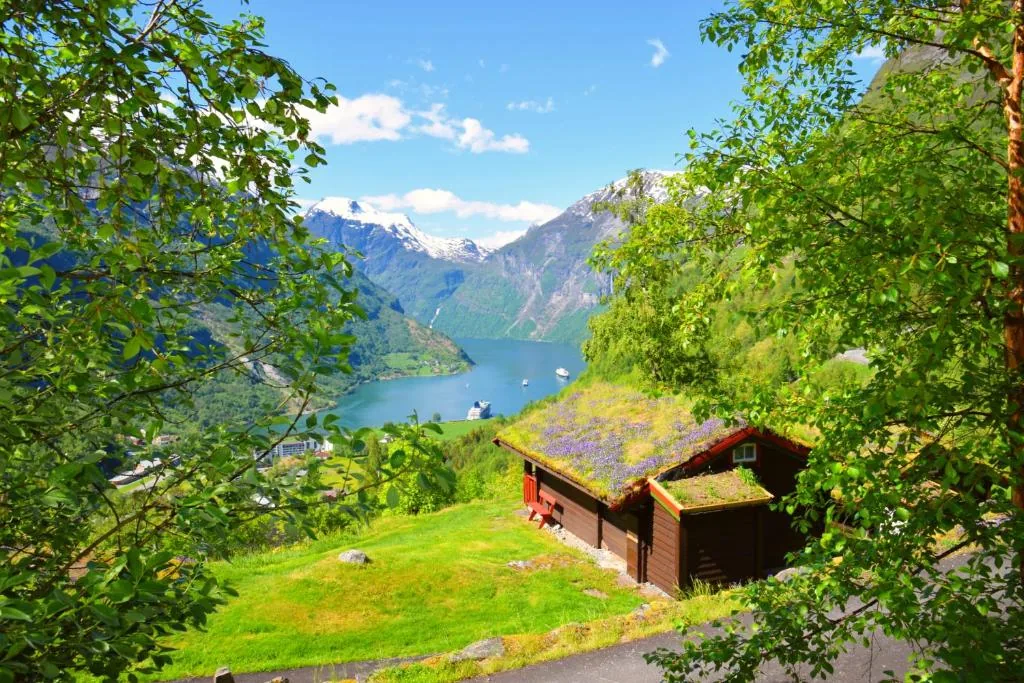 Hole Hytter — chalets bois rouge Geiranger