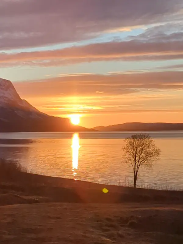 Soleil de minuit mai Tromso Norvege Soleil de minuit mai Tromso Norvege