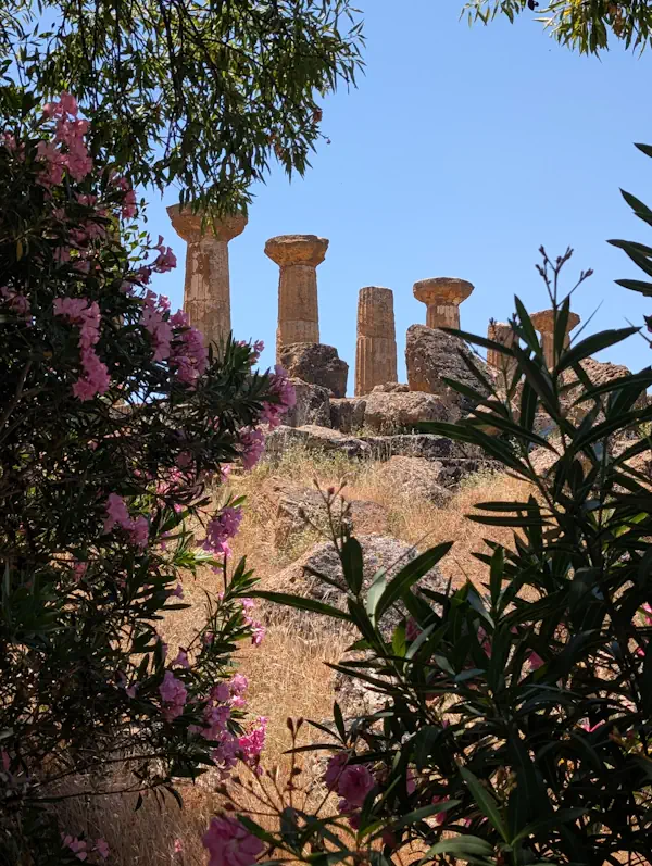 Temple Colonnes Agrigente Vallée des temples Sicile Temple Colonnes Agrigente Vallée des temples Sicile