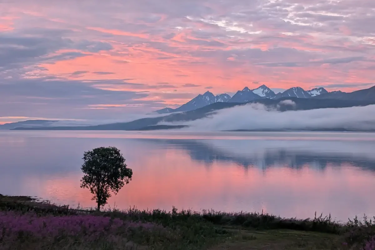 Ciel rose Tromso en été Ciel rose Tromso en été
