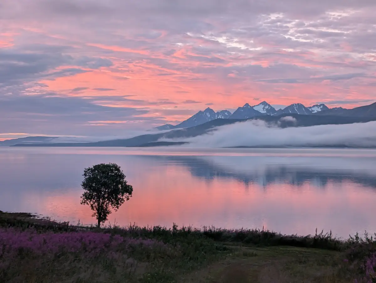Ciel rose Tromso en été