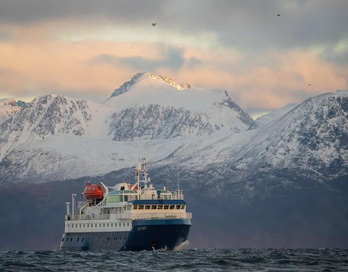 Crucero de 24 h de auroras boreales y ballenas a bordo del MV Quest con camarote privado desde Tromsø
