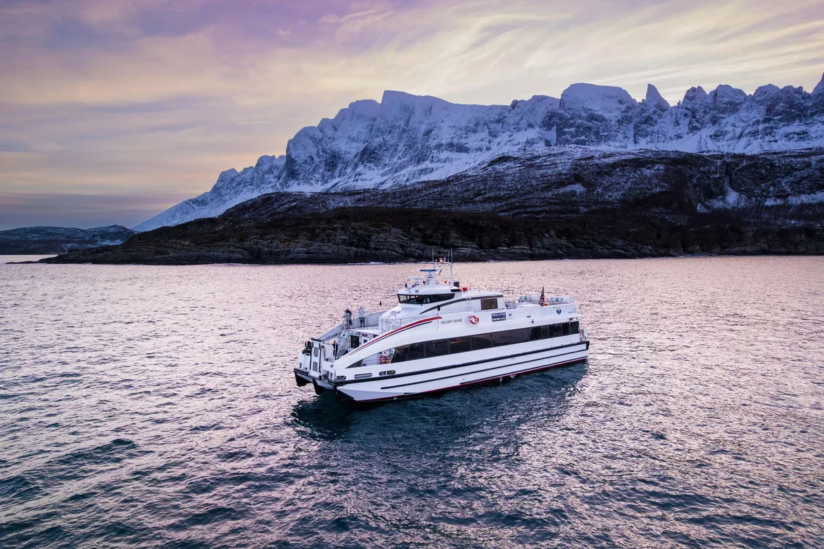 Avistamiento de ballenas y orcas en catamarán rápido y cómodo Helgøy Skyssbåt desde Tromsø