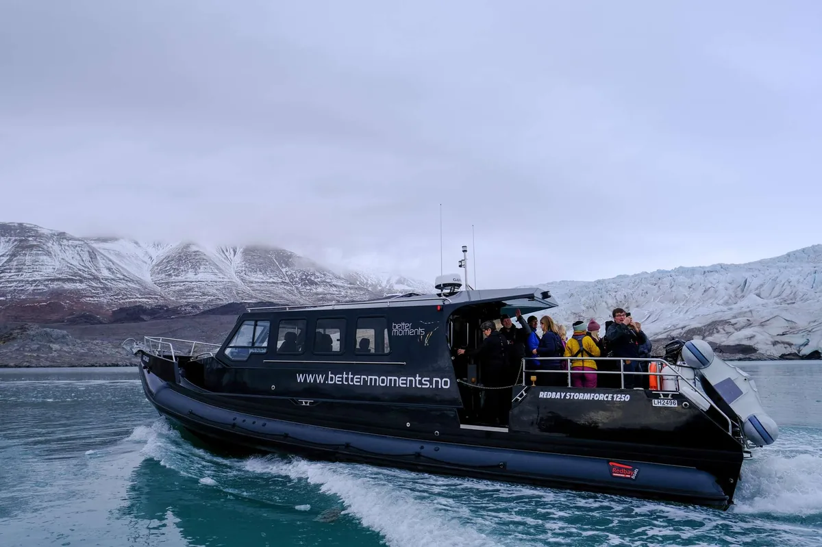 Safari de ballenas y orcas en barco cubierto y climatizado en Skjervøy con Skua Nature desde Tromsø
