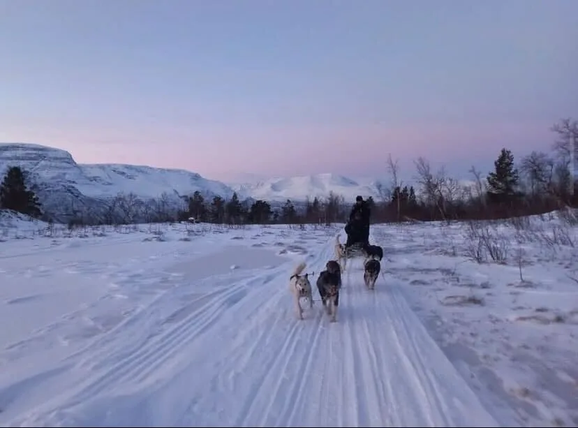Excursion en chien de traîneau nocturne dans la vallée de Skibotn avec Active North depuis Tromsø, chance d'observer les aurores boréales