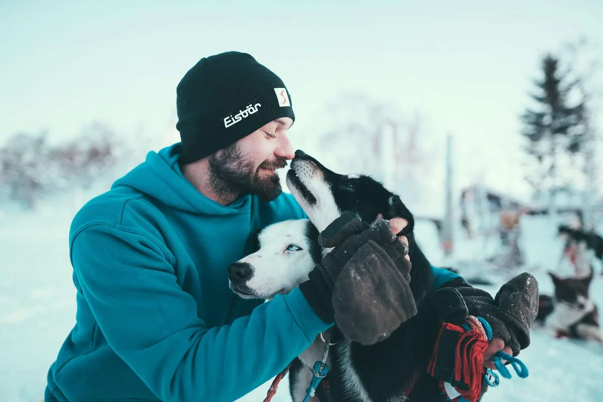 Aventure en traîneau à chiens husky en libre-service à Kvaløya avec Arctic Adventure Tours depuis Tromsø