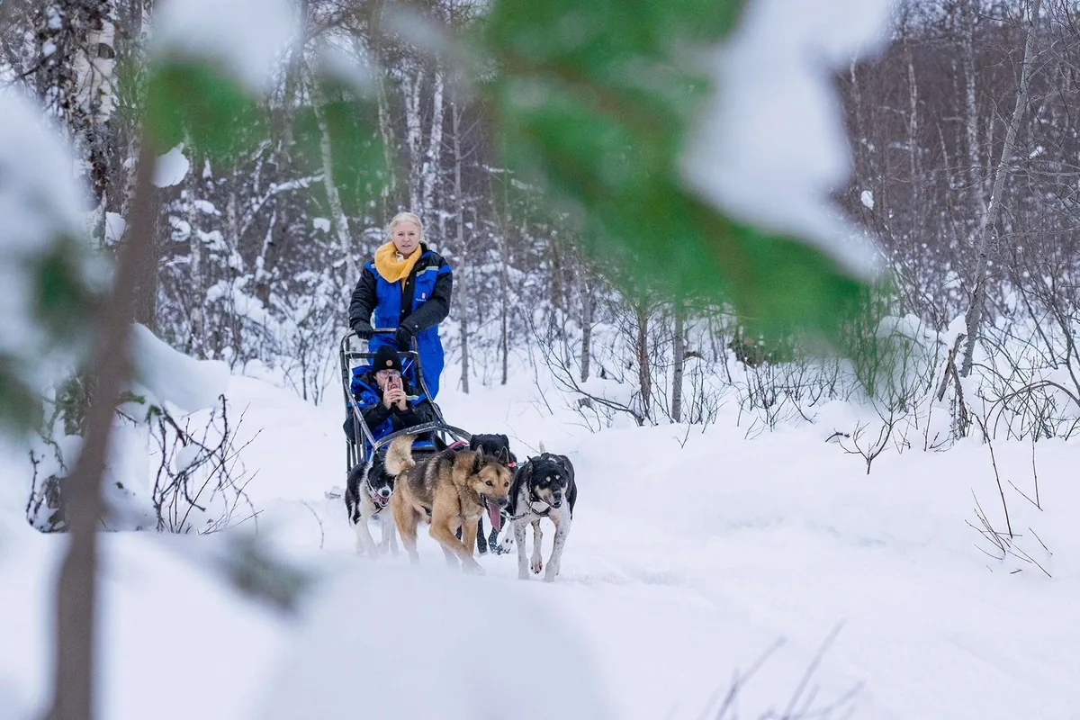 Aventure en traîneau à chiens au Camp Aspemo avec Visit Narvik au départ de Tromsø, 30 minutes de conduite