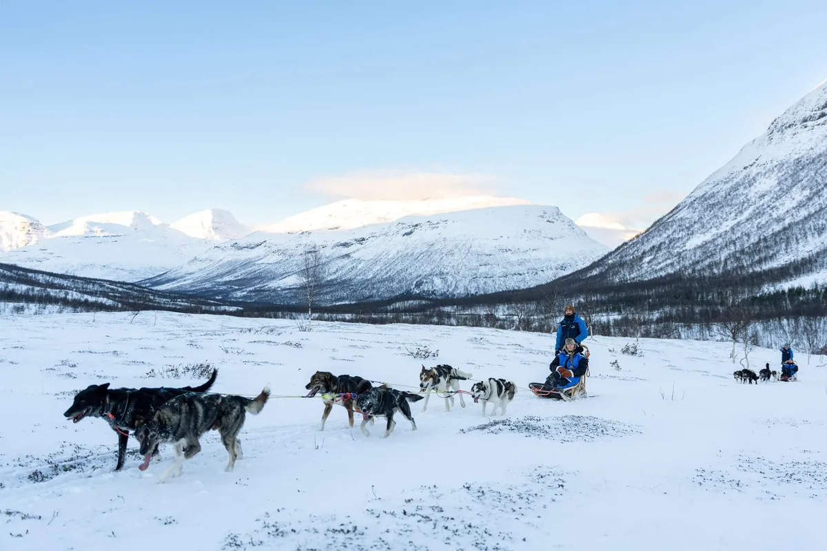 Circuit avancé et physique en traîneau à chiens au Camp Tamok Arctic Resorts pour mushers expérimentés