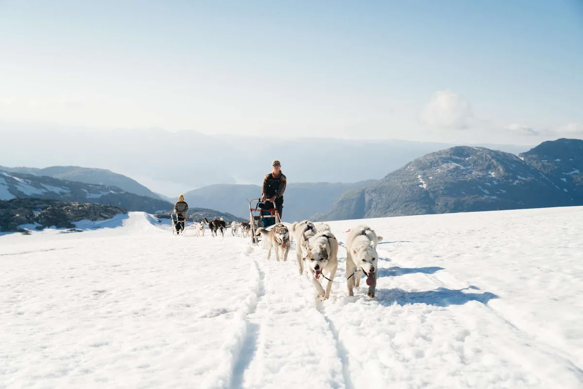 Excursion en traîneau à chiens éthique Moa Hundseid à Kvaløya près de Tromsø