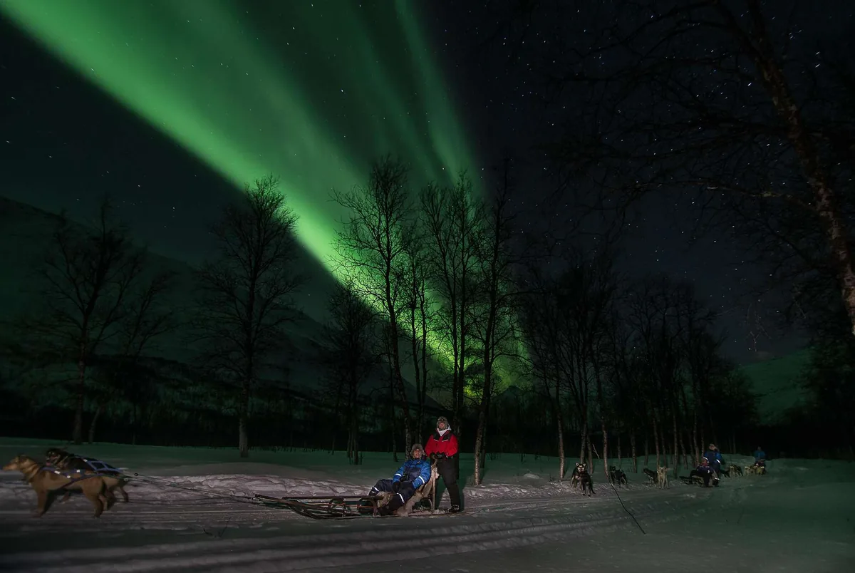 Combo nuit arctique au Camp Tamok Arctic Resorts avec traîneau à chiens, dîner traditionnel puis chasse aux aurores boréales en motoneige depuis Tromsø