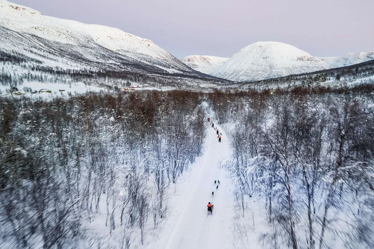 Aventure en traîneau à chiens à Tamokdalen avec Arctic Resorts au départ de Tromsø