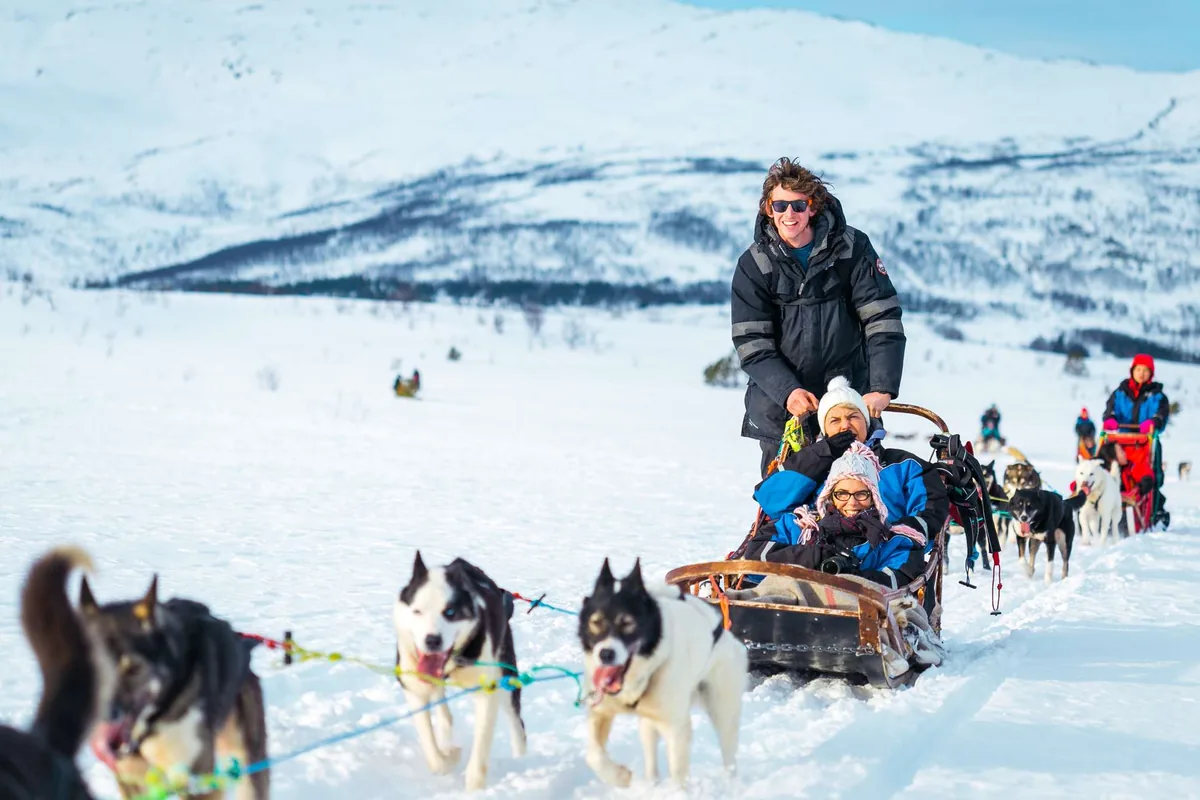 Balade en traîneau tiré par des huskies au Tromsø Villmarkssenter en tant que passager uniquement, idéal familles et enfants