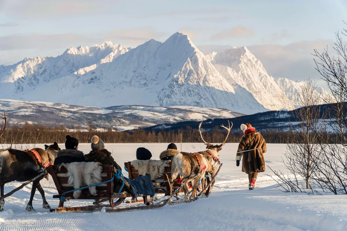Balade en traîneau à rennes avec Tromsø Lapland face aux Alpes de Lyngen, nourrissage du troupeau puis Bidos ragoût sami traditionnel dans la gamme