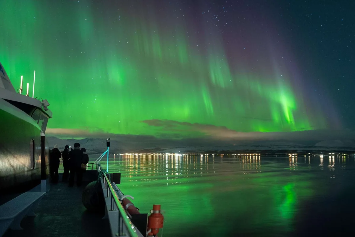 Northern lights cruise in Tromsø with Rødne