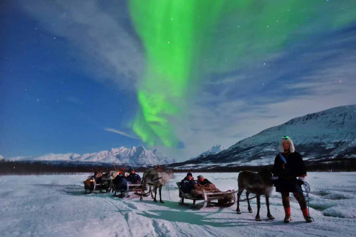 Reindeer sled under the northern lights in Tromsø with Tromsø Lapland