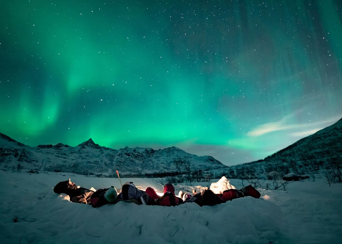 Northern lights in Tromsø with the agency Wandering Owl