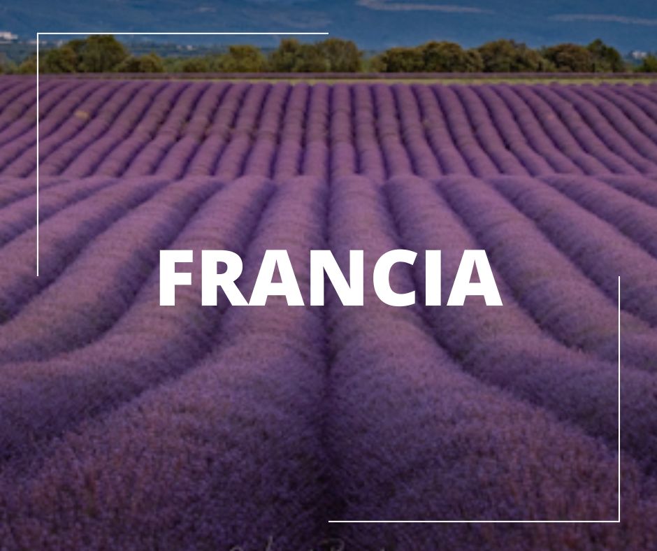 visitar francia