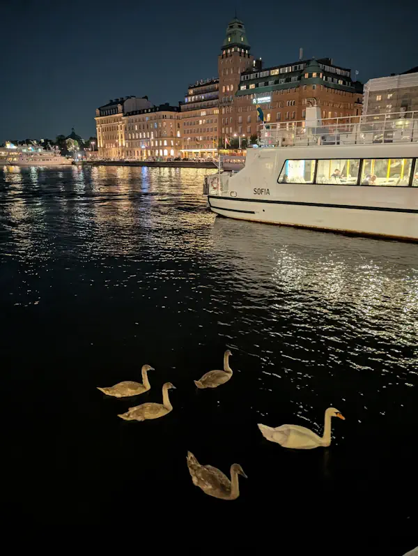 Canards baie stockholm ostermalm Canards baie stockholm ostermalm