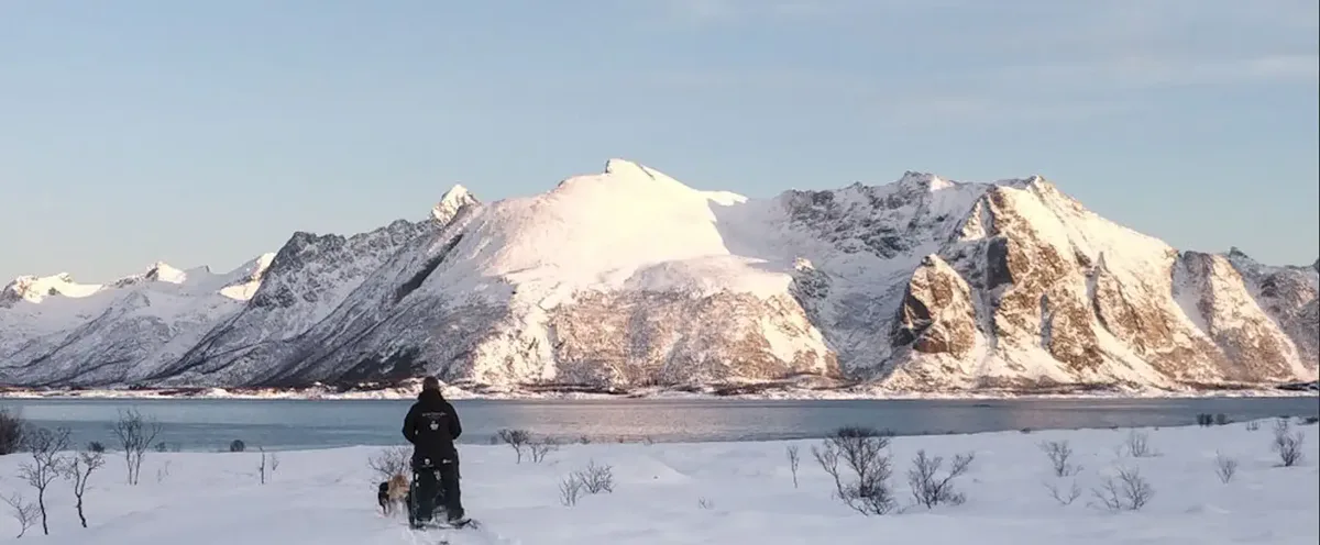 Paysage d'hiver en Norvège du Nord : montagnes enneigées au bord d'un fjord, une personne et son chien dans la neige au premier plan.