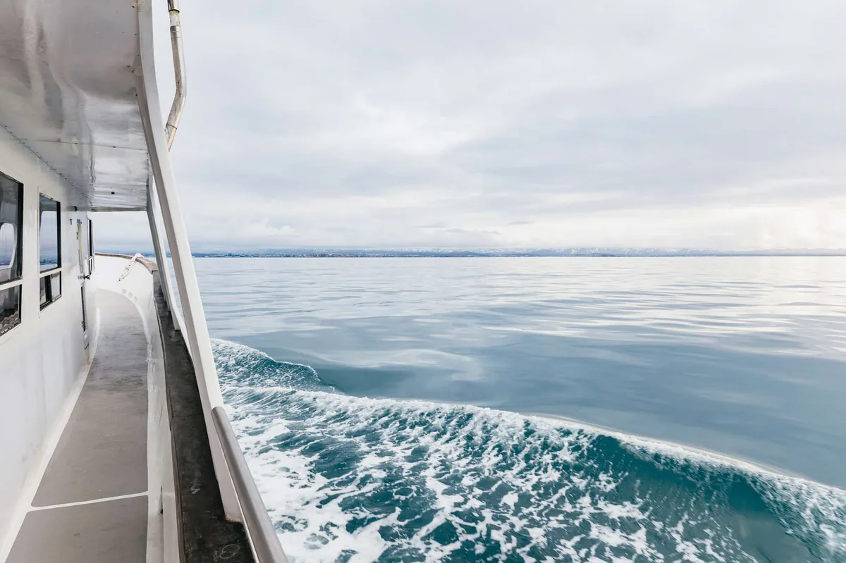 Whale watching from the Amelia Rose yacht in Reykjavik