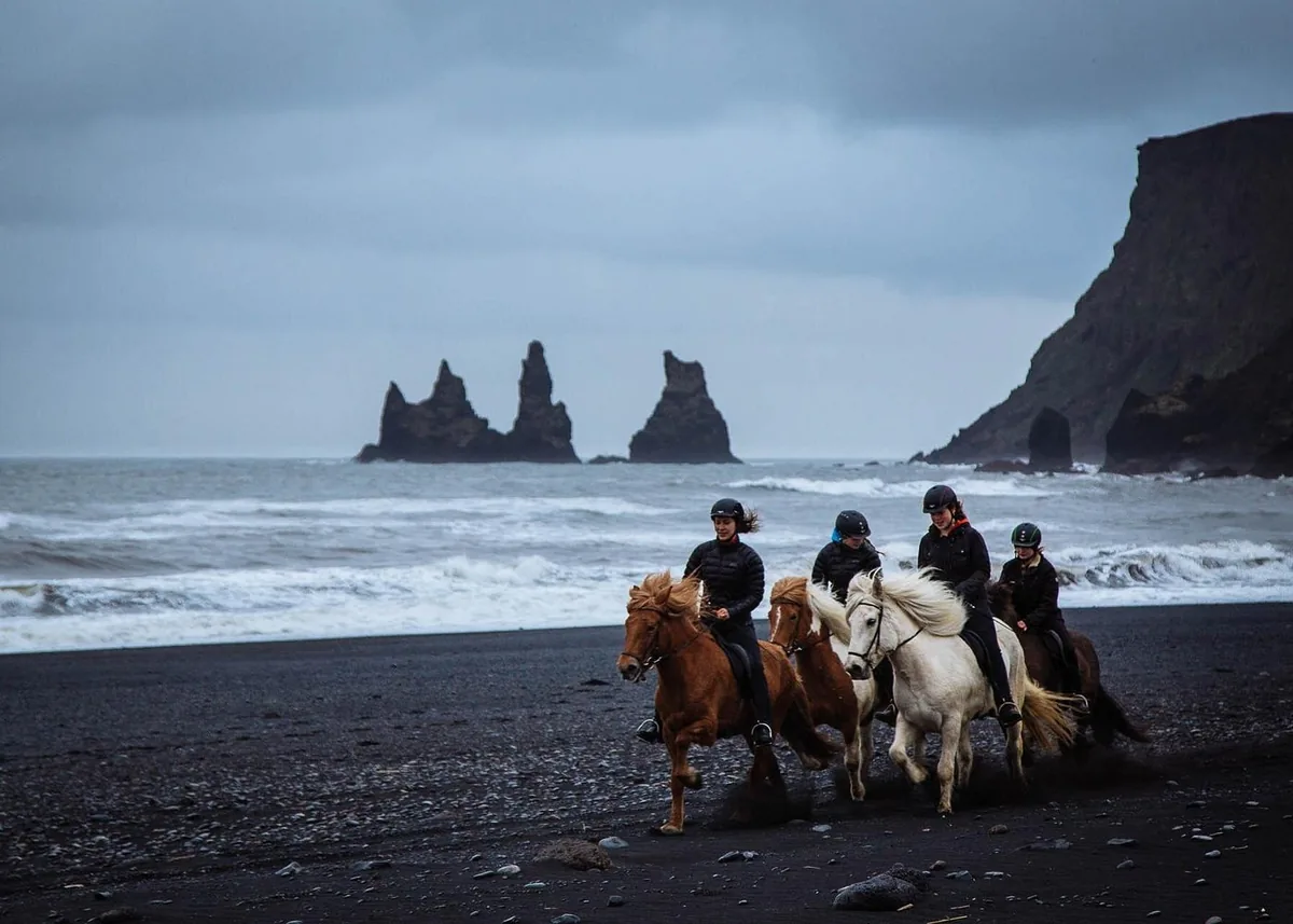 Paseo a caballo islandés por la playa de arena negra de Vikurfjara en Vik