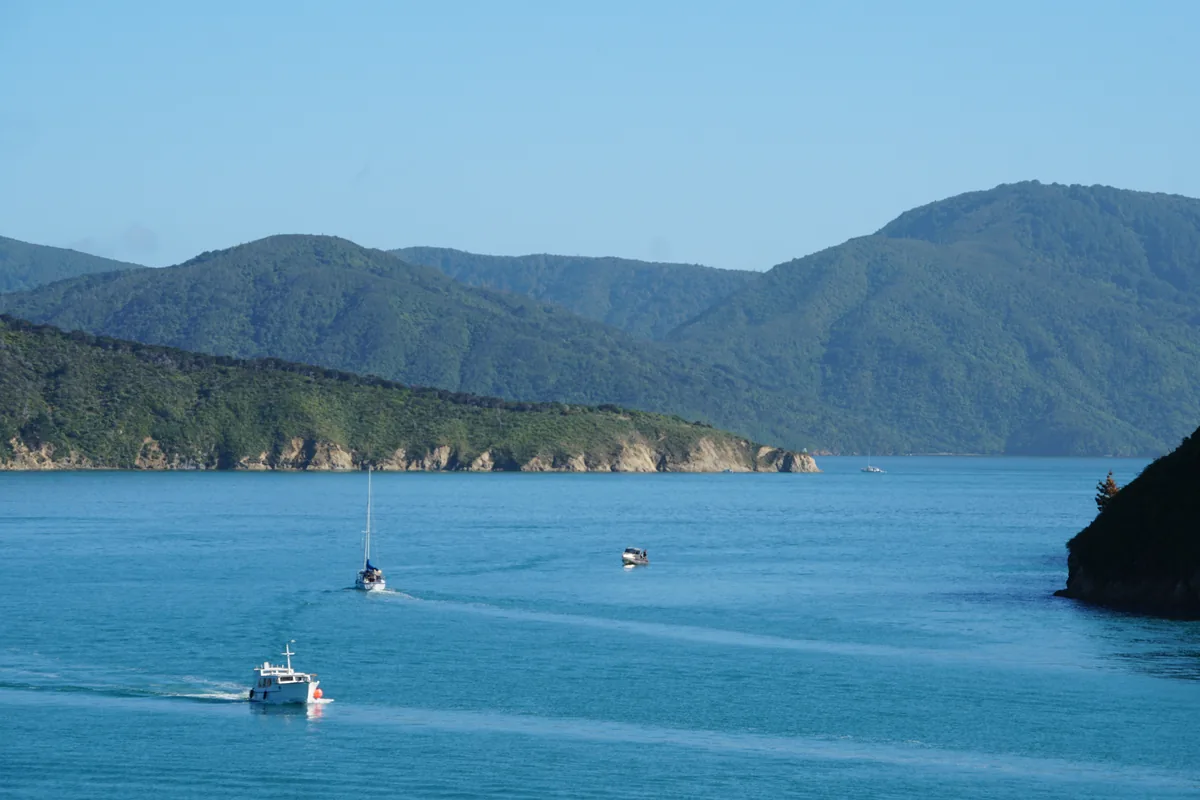 Small sailing boat anchored in a bay of Queen Charlotte Sound, spotted during the ferry crossing towards Picton.