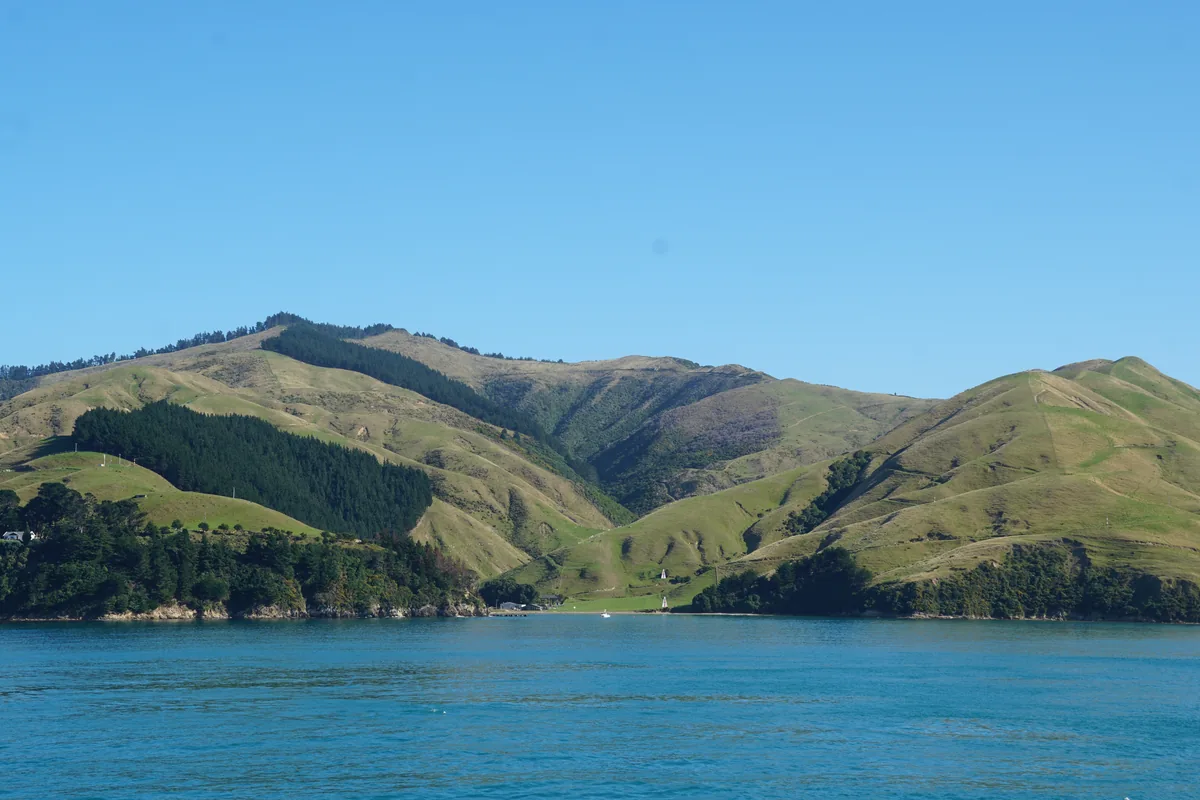 Green hills plunging into the turquoise water of the Marlborough Sounds, seen from the deck of the Wellington-Picton ferry.