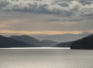 Prendre le ferry entre Wellington et Picton – prix, horaires, réservation Bande de lumière sur l'eau et collines à contre-jour dans les Marlborough Sounds, pendant la traversée en ferry vers Picton.