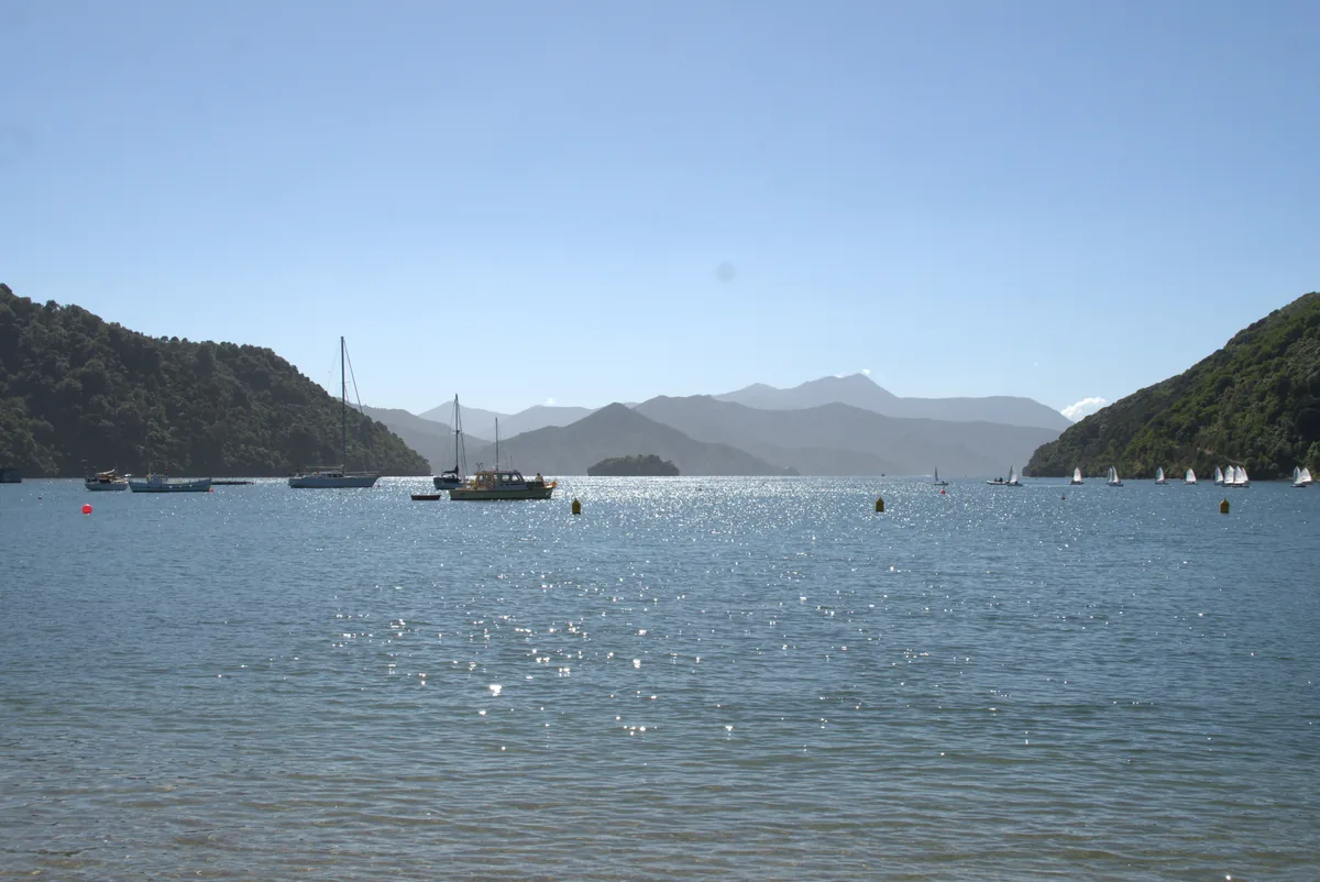 Sailing boats anchored on shimmering water on the approach to Picton, in Queen Charlotte Sound, New Zealand.