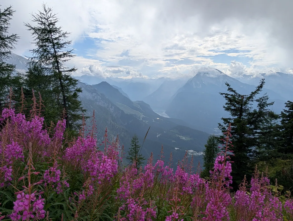 nid-aigle-kehlstein-vue-fleurs-montagnes