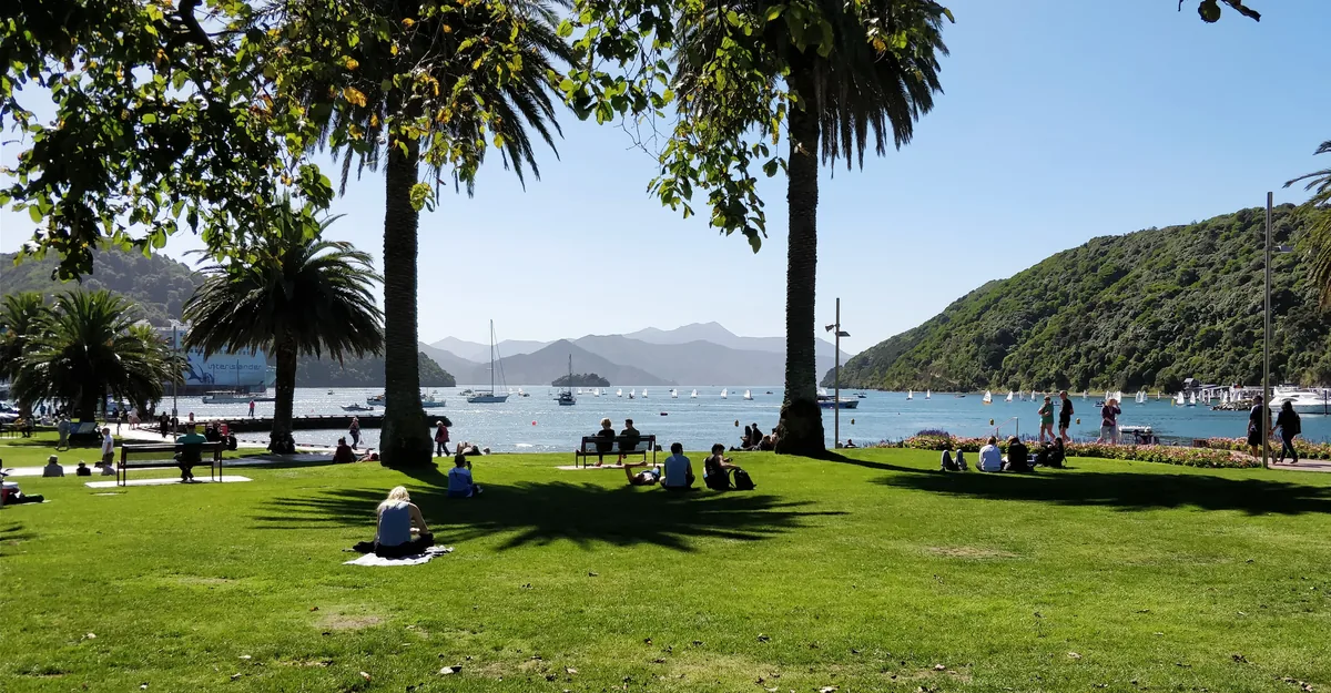 Picton waterfront lined with palm trees, with the marina in the background, a few minutes after getting off the ferry.