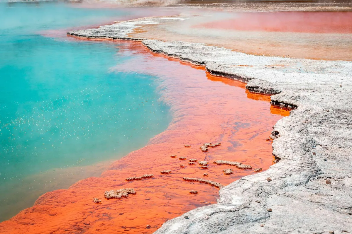 Wai-O-Tapu geothermal park near Rotorua with the Champagne Pool and the Lady Knox geyser
