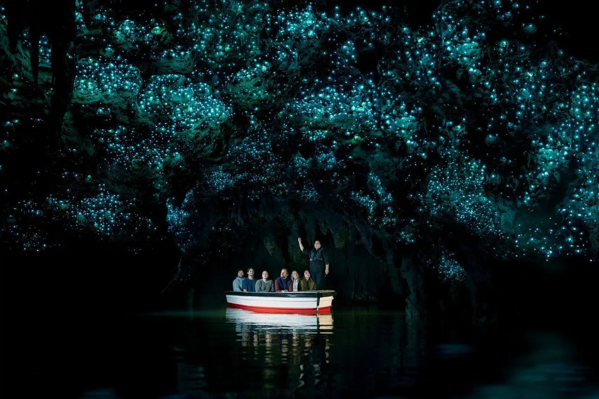 Boat tour of the Waitomo glowworm caves in New Zealand