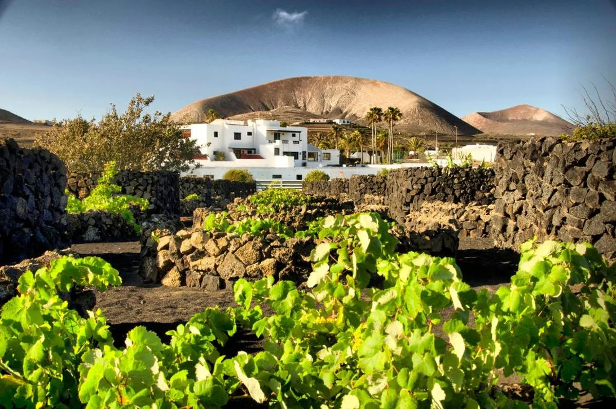 Finca de la Florida San Bartolomé Lanzarote hotel rural con piscina rodeada de palmeras