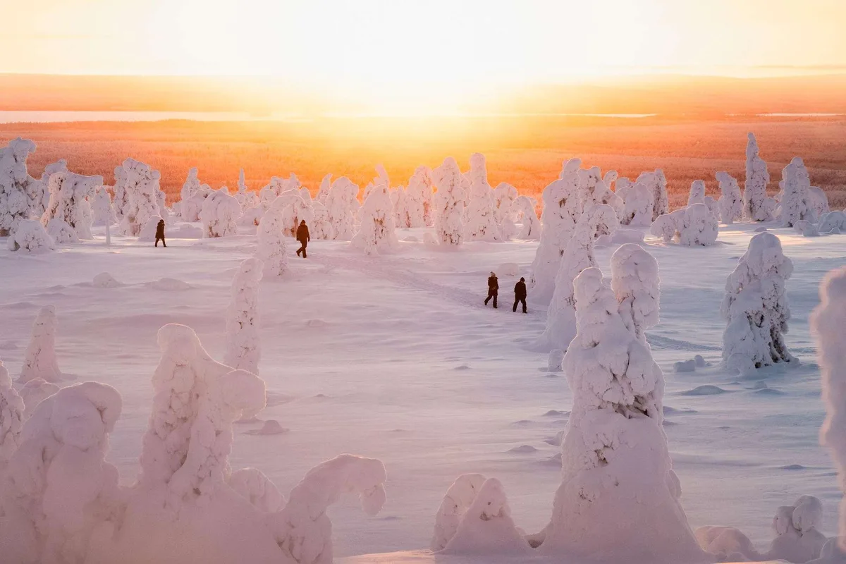 Excursión a los monstruos de nieve de Riisitunturi desde Rovaniemi